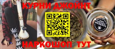 прущие грибы Будённовск