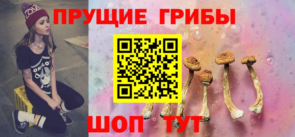 Псилоцибиновые грибы MAGIC MUSHROOMS Бутурлиновка
